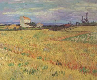 Vincent Van Gogh Wheat Field (nn04) oil painting image
